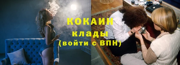 стаф Алексин