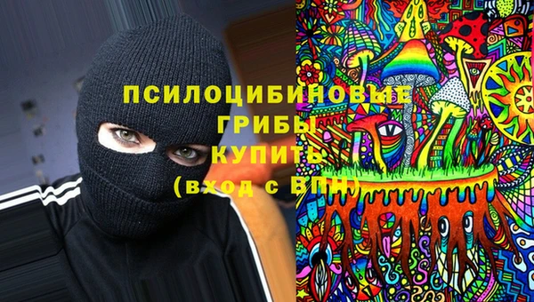 стаф Алексин