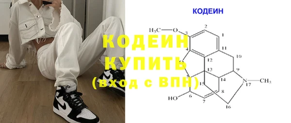 стаф Алексин