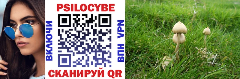 Галлюциногенные грибы Psilocybine cubensis MEGA Яровое